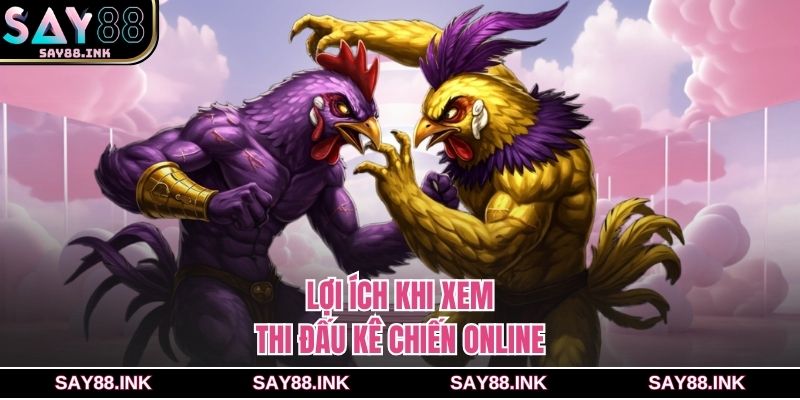 Lợi ích khi xem thi đấu kê chiến online