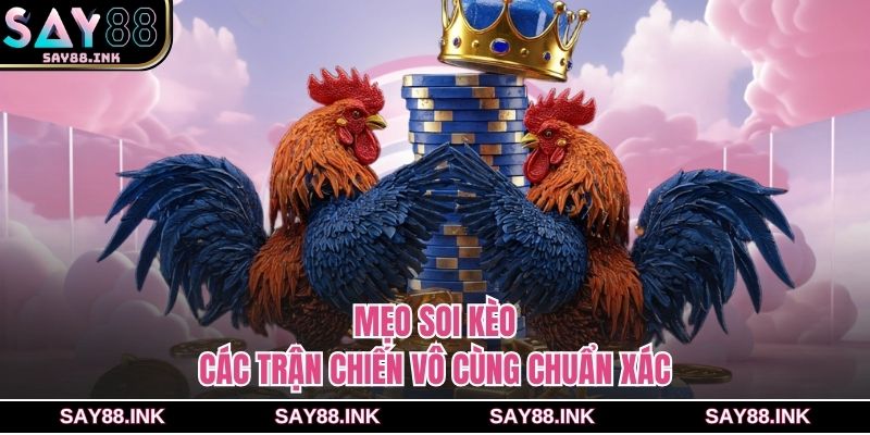 Mẹo soi kèo các trận chiến vô cùng chuẩn xác