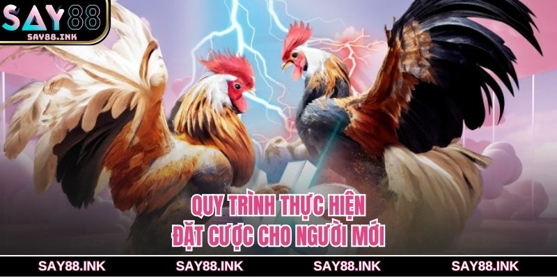 Quy trình thực hiện đặt cược cho người mới
