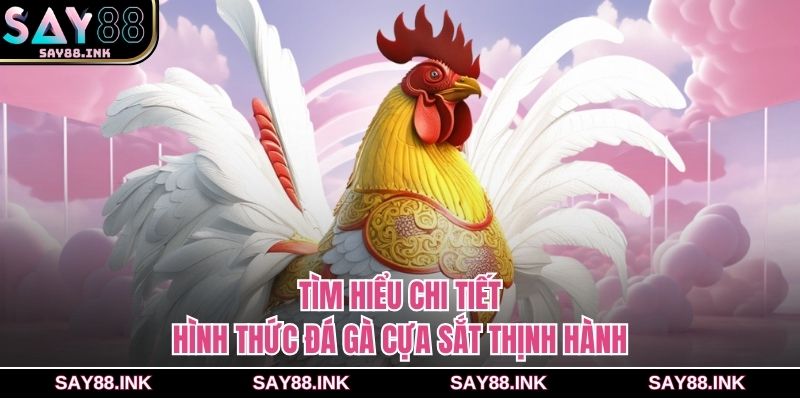 Tìm hiểu chi tiết hình thức đá gà cựa sắt thịnh hành