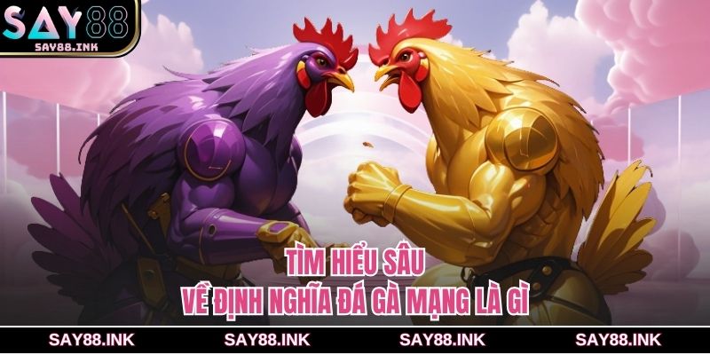 Tìm hiểu sâu về định nghĩa đá gà mạng là gì